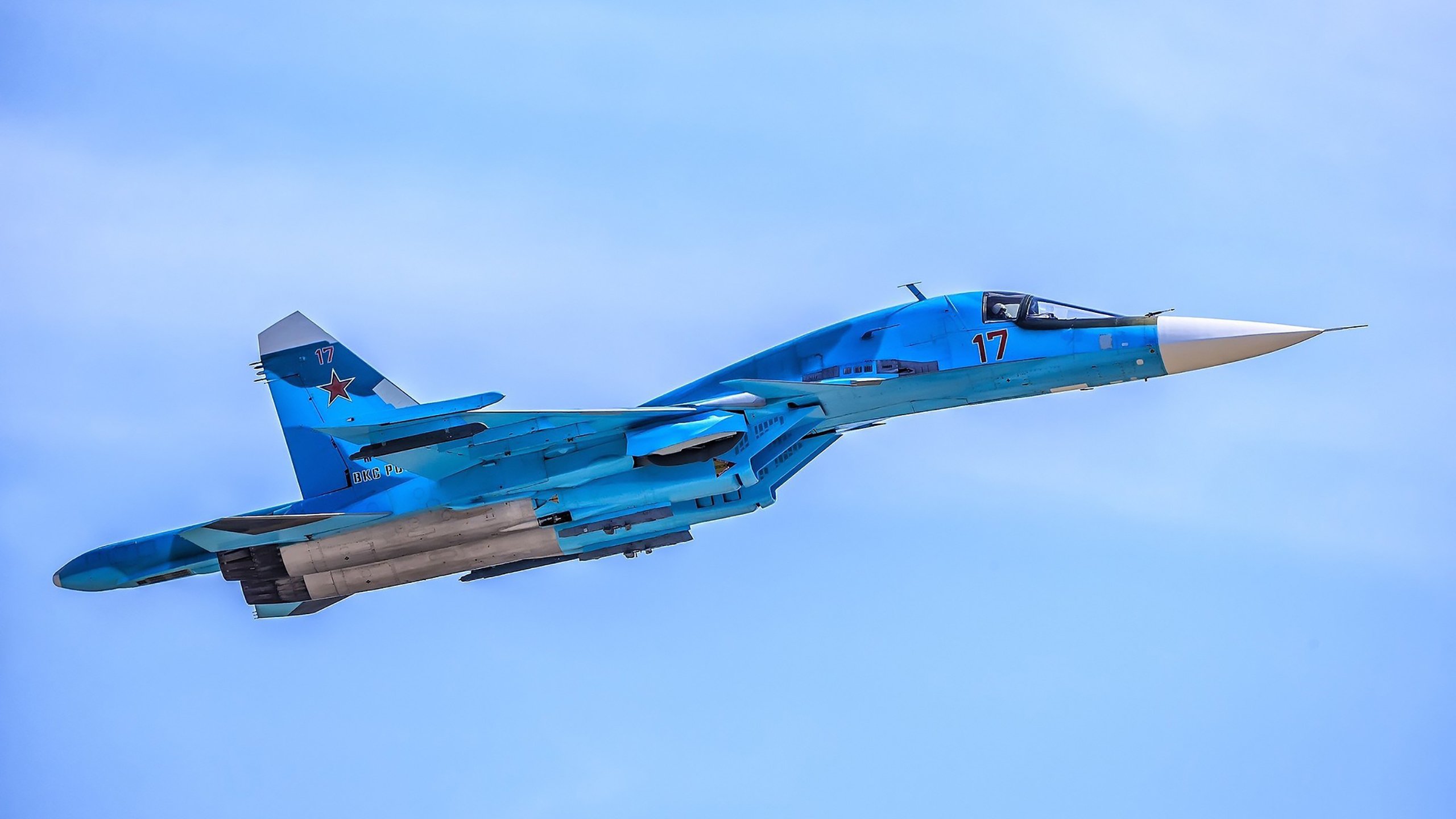 kaiyun官方入口登录-伊朗马术协会推出马匹健康管理系统，提升马匹福利。，伊朗 马赛克