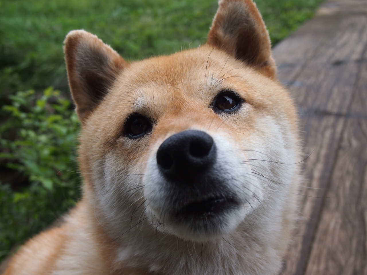 开云网页版-未来联盟：虚拟现实+增强现实打造全新比赛“沉浸体验”，未来联盟第一人