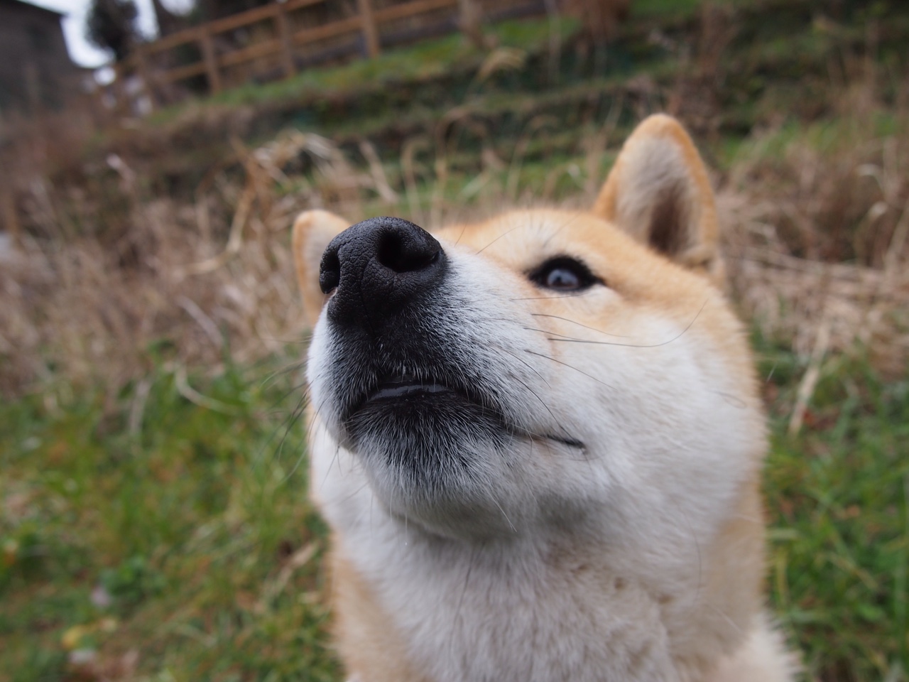 Kaiyun(中国)开云-炉石传说 赛事奖金再创新高，炉石传说比赛奖金