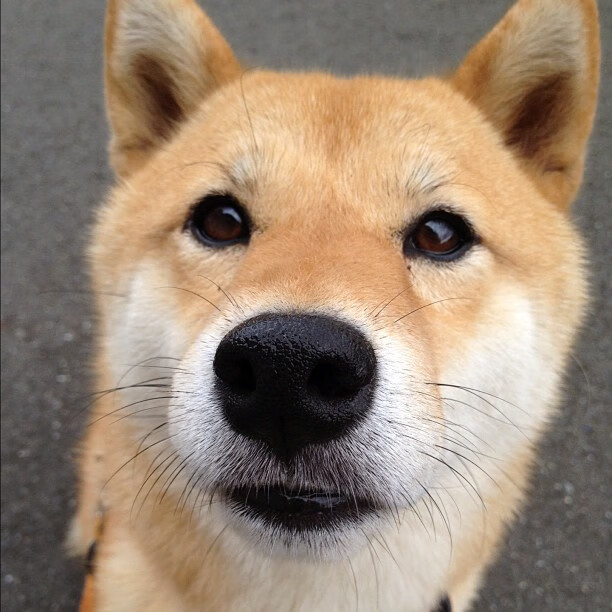 kaiyun登录入口-西甲创新技术应用，提升比赛公平性，西甲专题