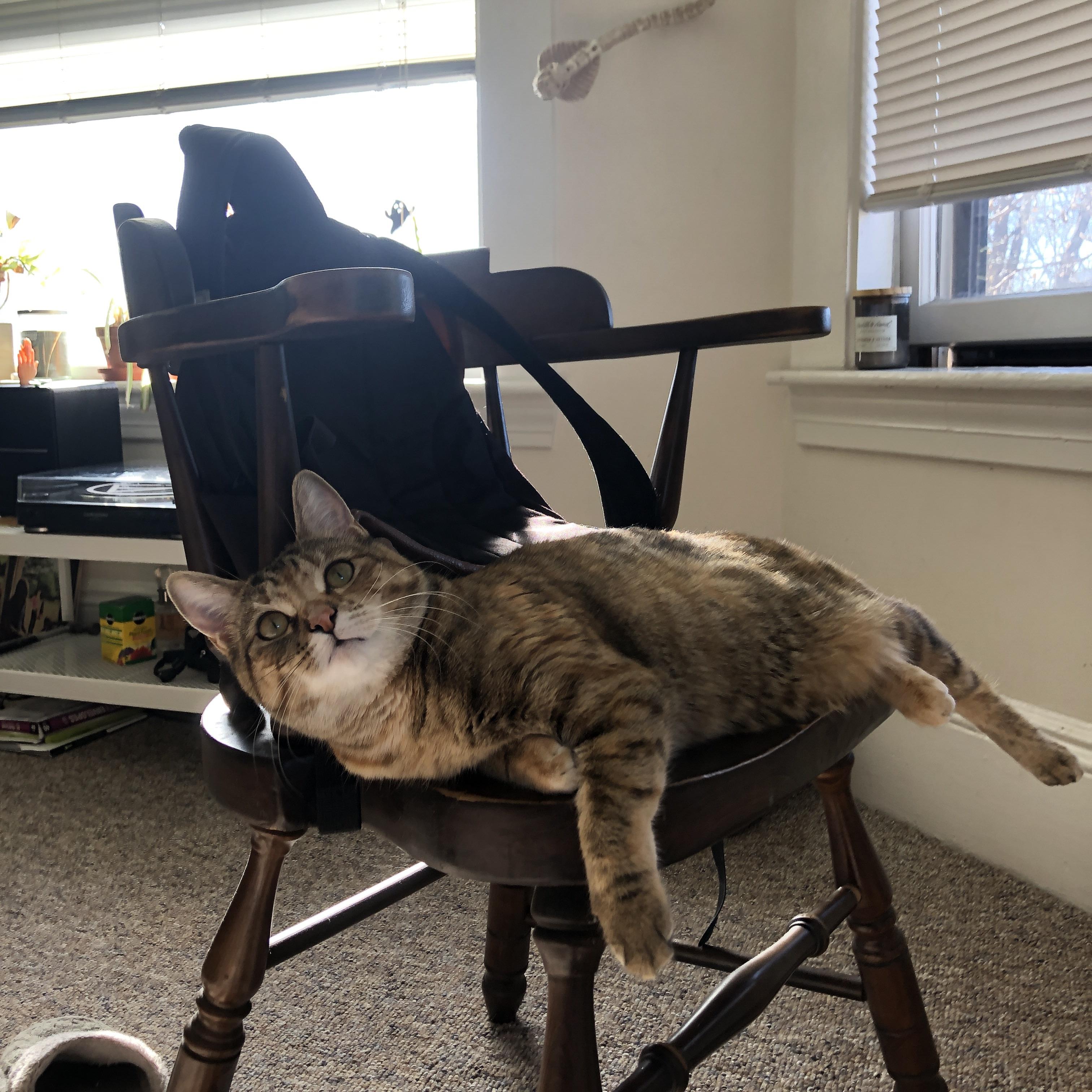 足球青训榜样——优秀教练分享成功经验，足球教练培训视频