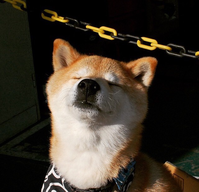 kaiyun网站-青少年“闪耀未来”篮球明星培养计划在郑州全面铺开，挖掘青训潜力