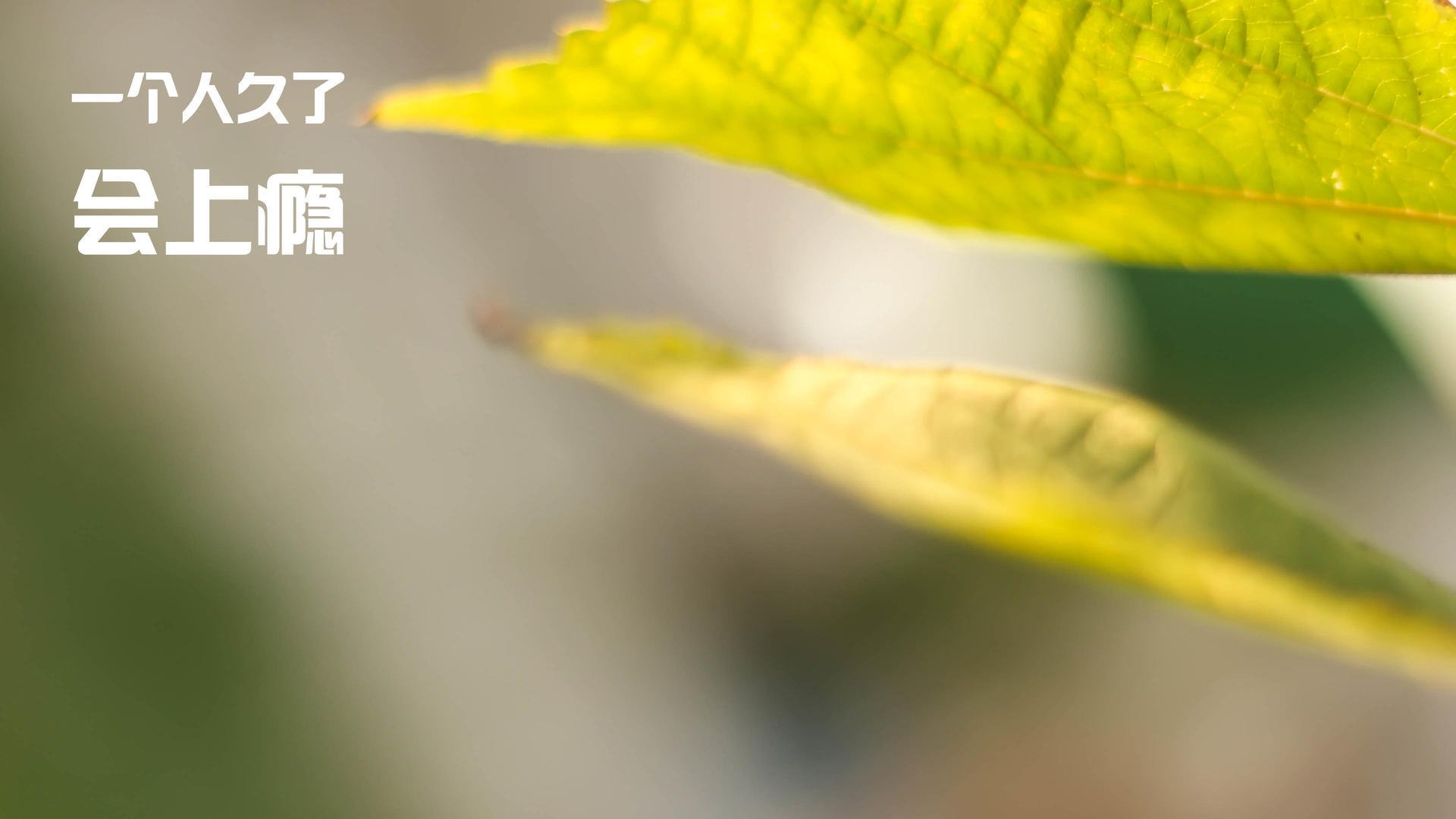 kaiyun 开云体育-国足心理素质训练持续优化，比赛更稳定，国足精神