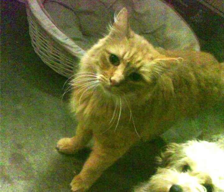 开云中国-国足心理素质训练见成效，足球运动员心理训练的意义