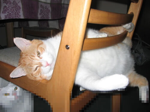 川崎前锋冲击J联赛冠军，川崎前锋首发阵容