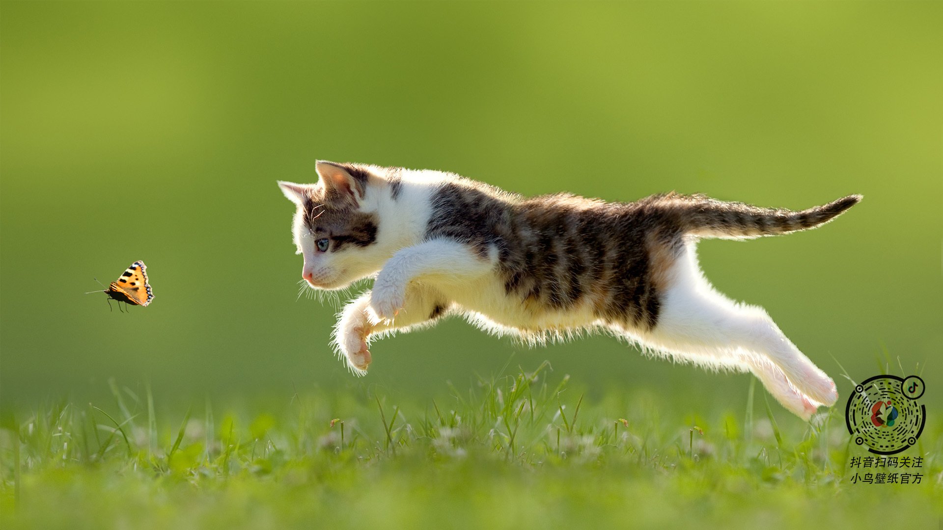 开云体育APP下载-捷克奥斯纳布战平对手，实力相当悬殊，奥斯纳布鲁克足球俱乐部