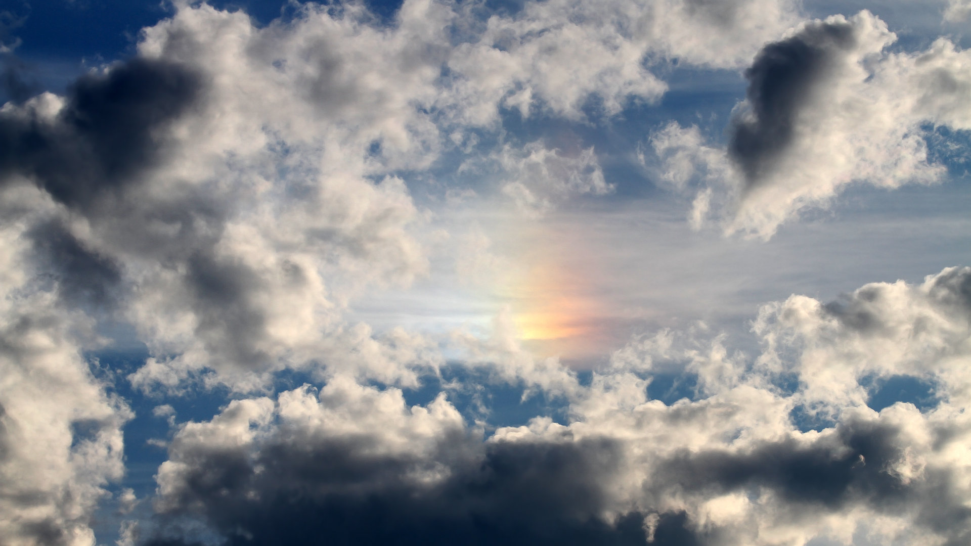 CBA球迷文化节开幕 推动篮球氛围建设,cba篮球宣传语