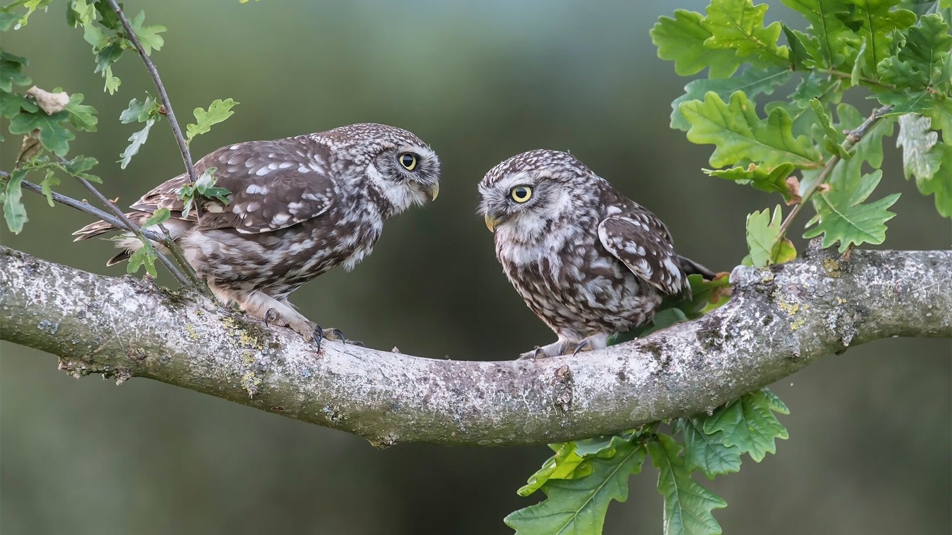 体育新闻中心推动智慧体育场馆数字内容创新应用，体育馆智慧场馆标准