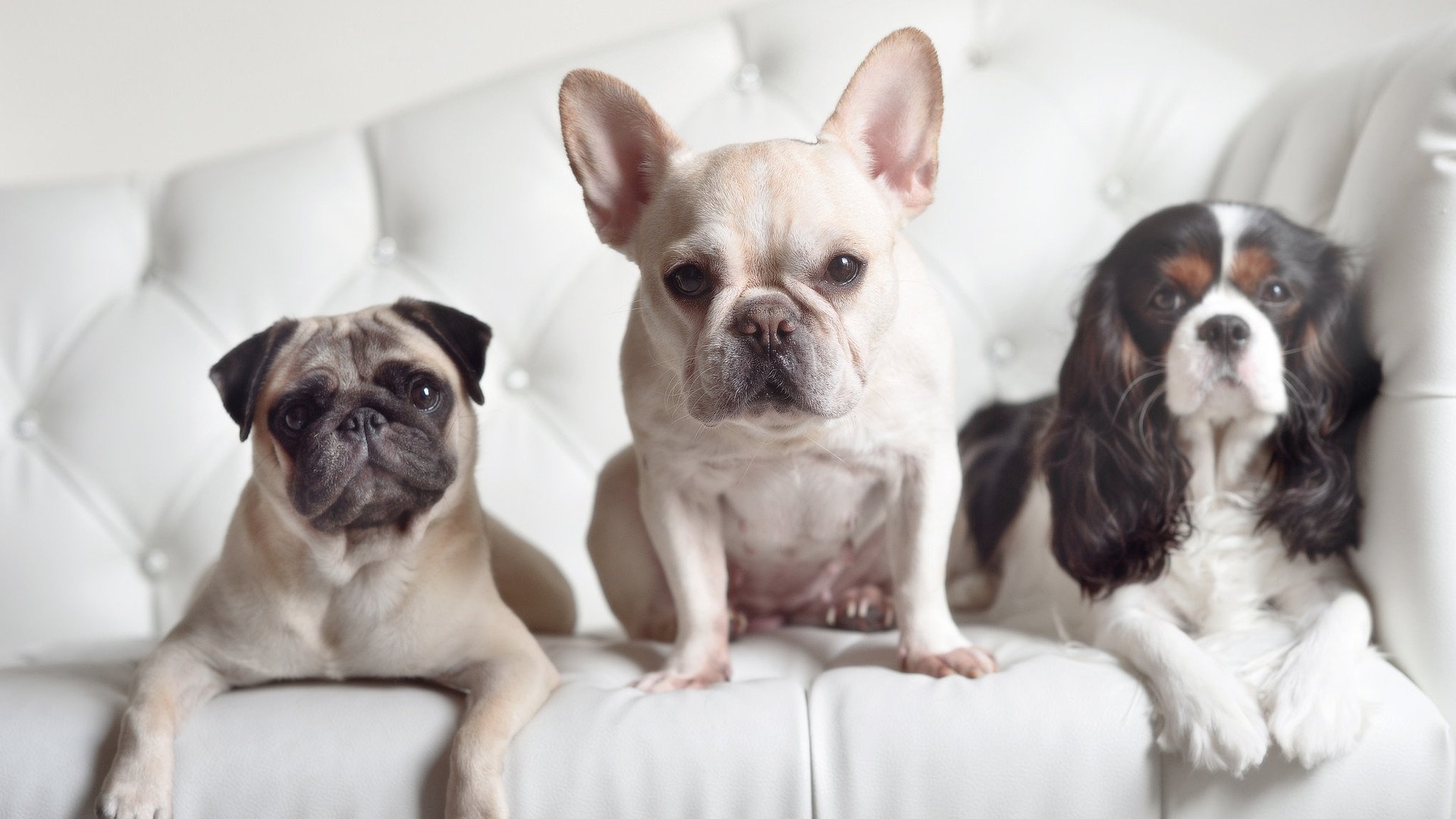 海登海姆边线战术丰富应对多变局势，海登海姆vs