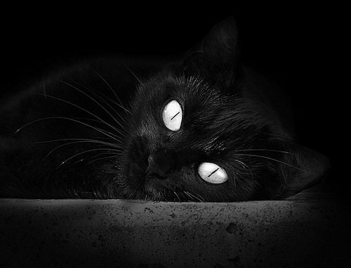 梅西带伤完成比赛世界杯小组赛,梅西参加世界杯预选赛