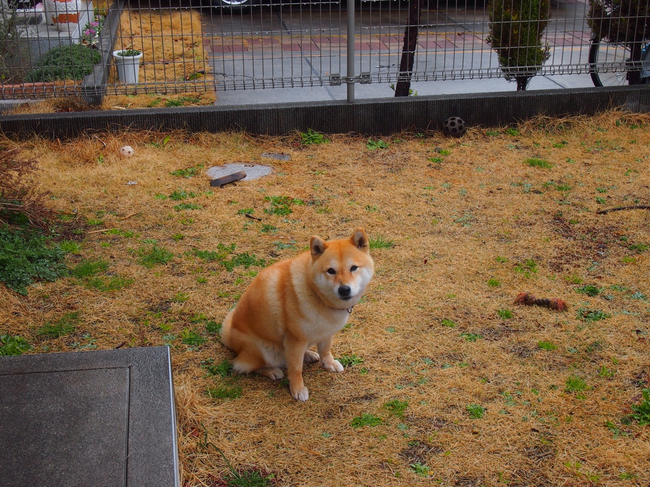 开云·体育官方网站入口-法国橄榄球重回巅峰：新一代球员引领未来，法国橄榄球厉害吗