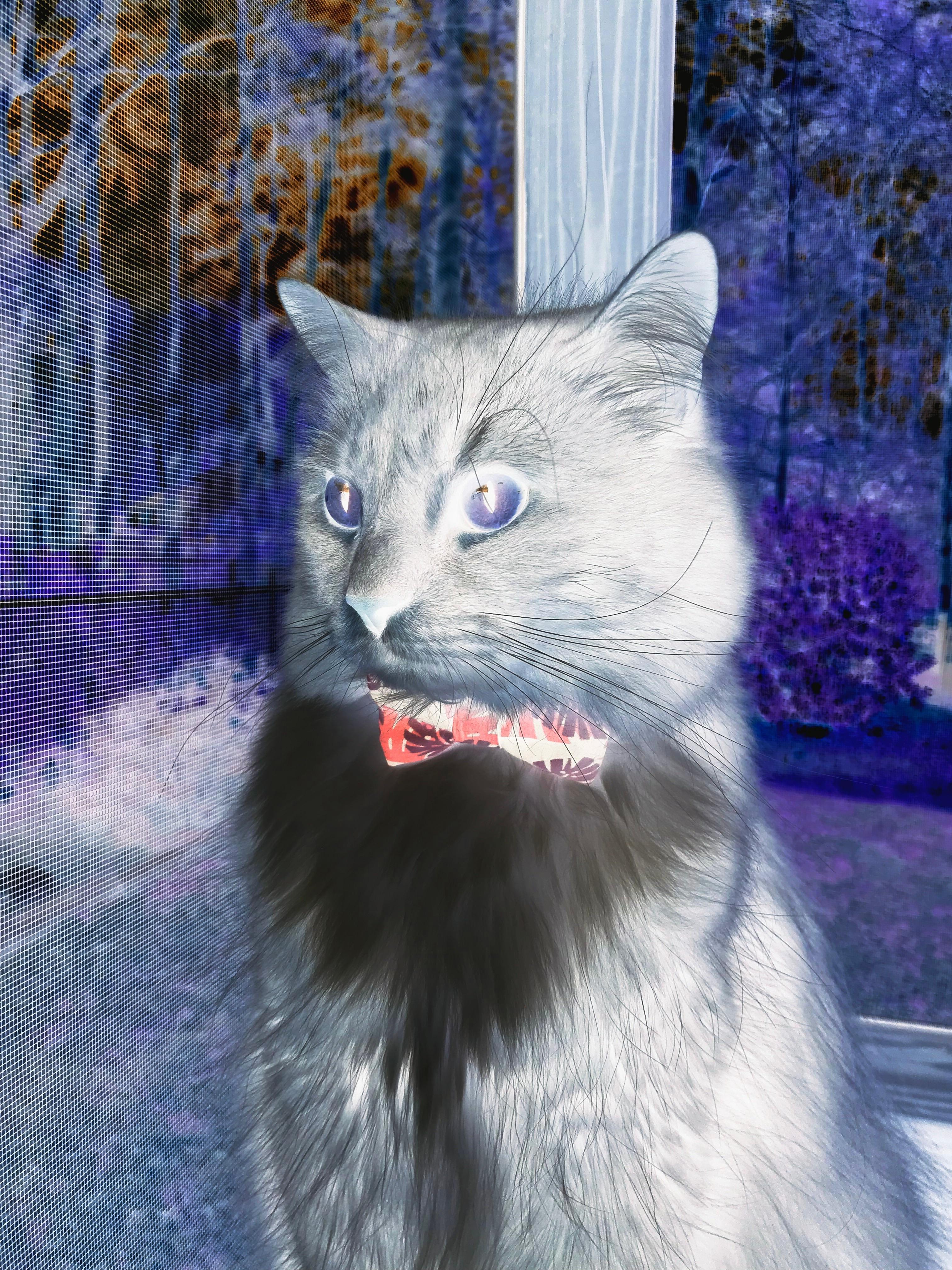 开云体育中国官网-法甲胜利瞬间：战术配合点燃全场！，法甲 经典比赛