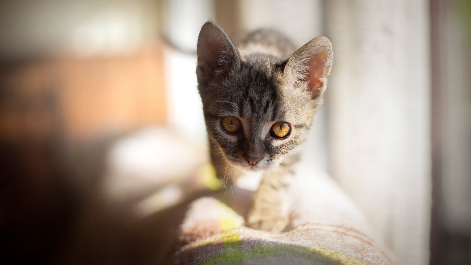 开云首页登录-湖人二队训练赛意外爆发冲突，湖人二轮签